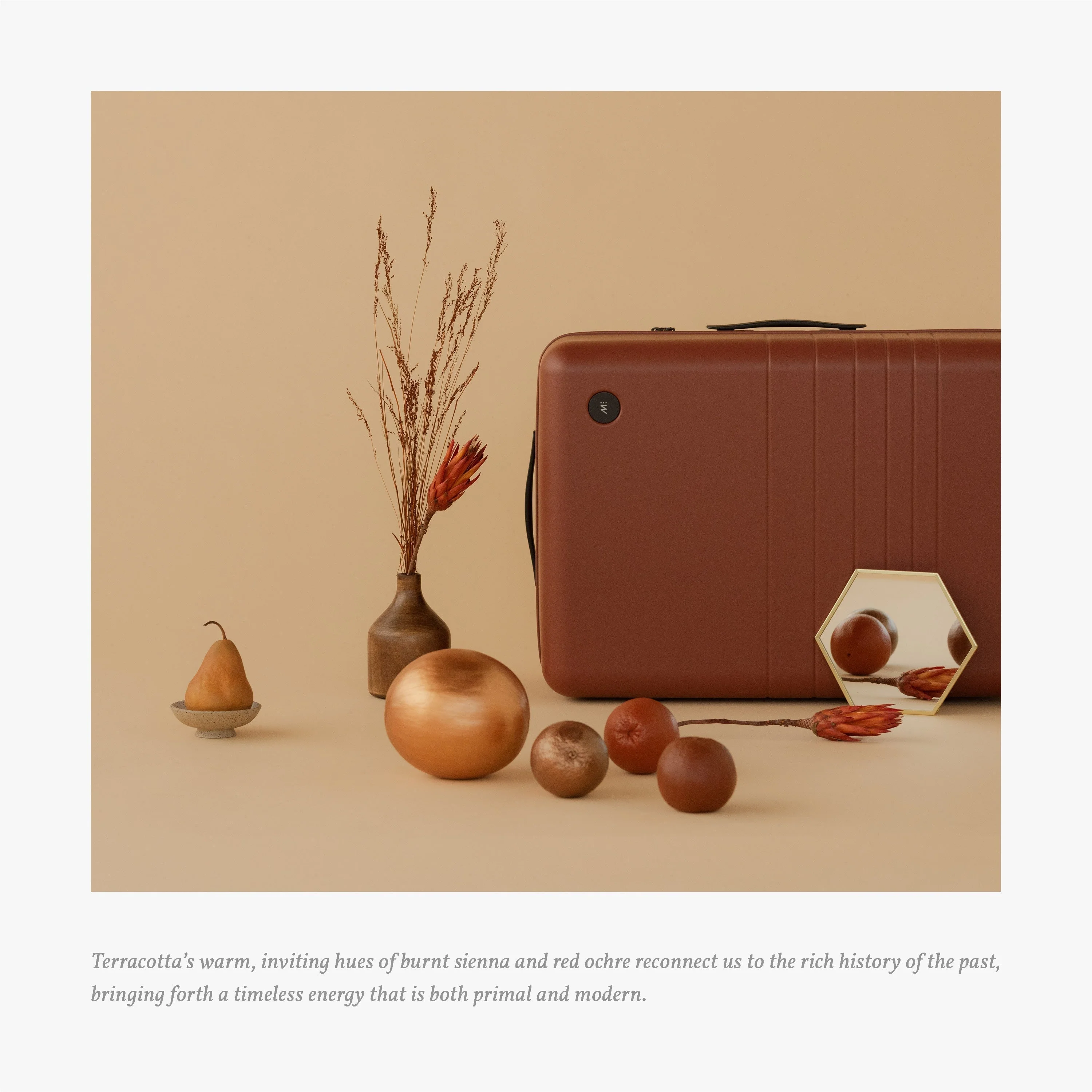 Carry-On Pro Plus - Image 86