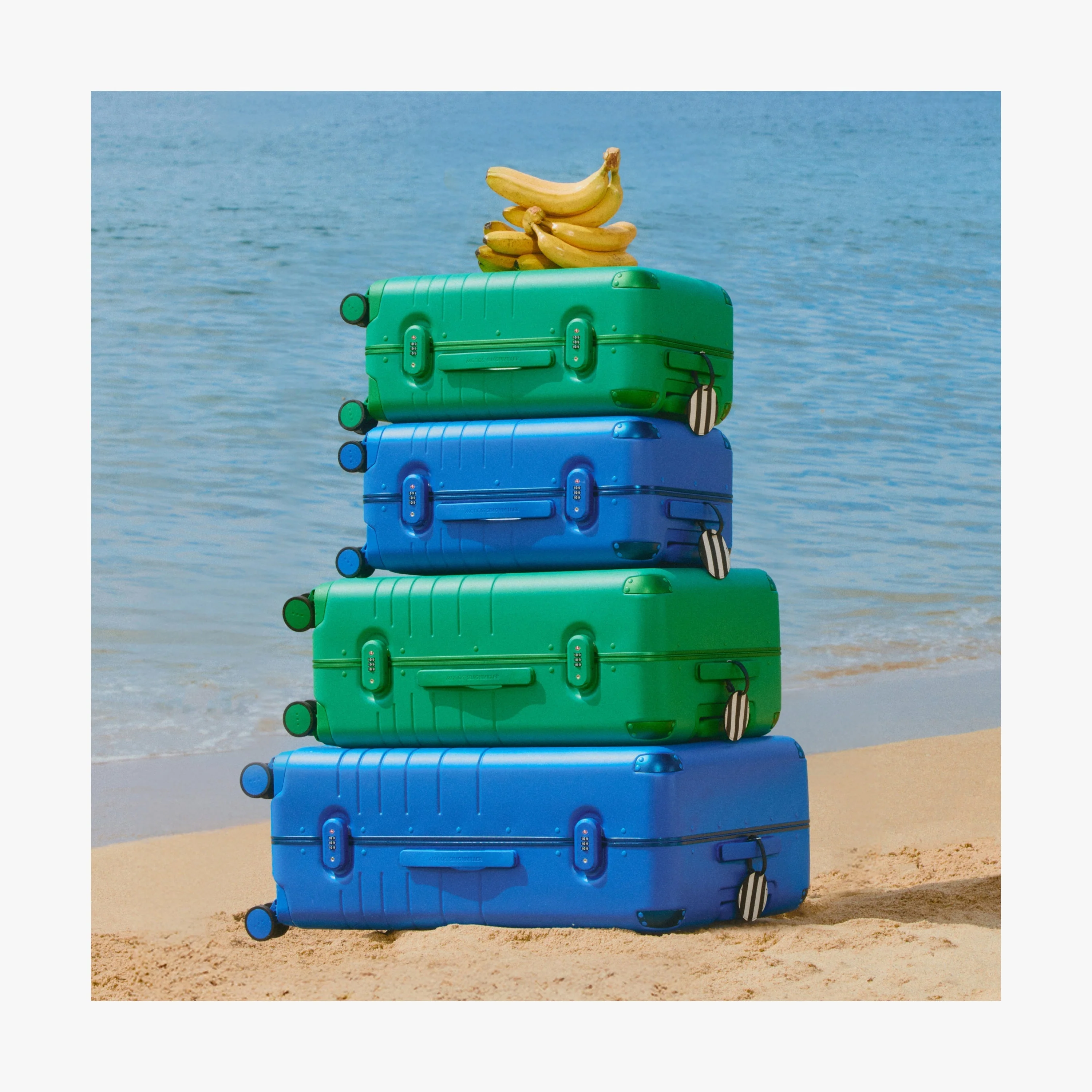 Hybrid Trunk Large - Image 101